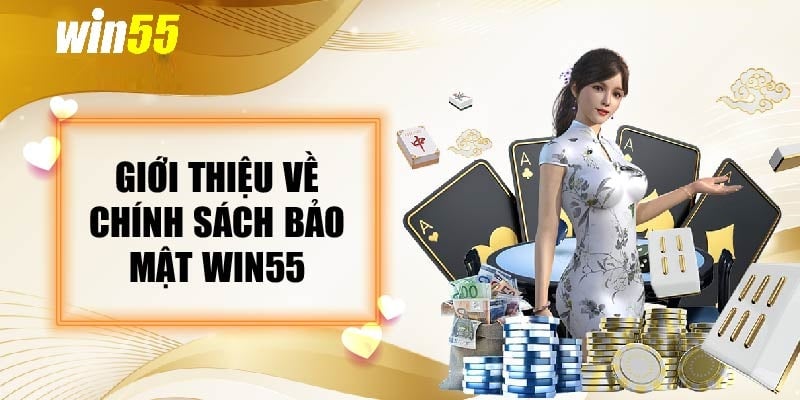Giới thiệu chính sách bảo mật win55 có nhiều cách bảo vệ dữ liệu